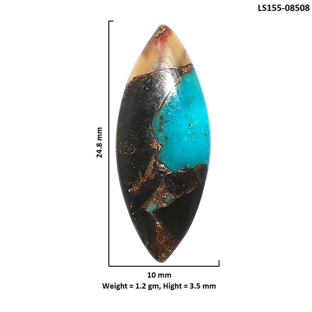 Shell In Black Blue Turquoise 10x24.8x3.5 mm Marquise Shape Polished Gemstone LS155-08508