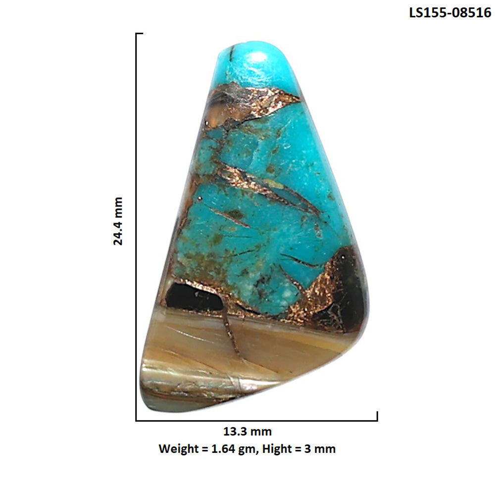 Shell In Black Blue Turquoise 13.3x24.4x3 mm Fancy Shape Polished Gemstone LS155-08516