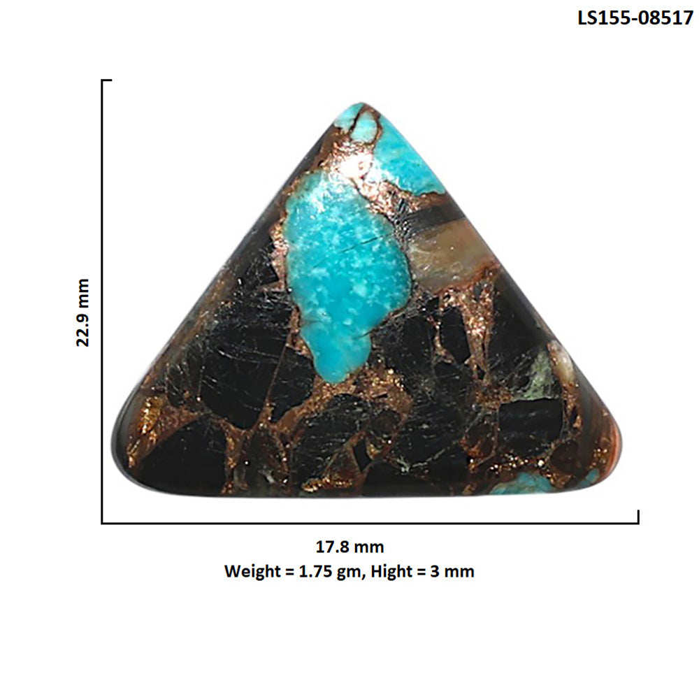 Shell In Black Blue Turquoise 17.8x22.9x3 mm Fancy Shape Polished Gemstone LS155-08517