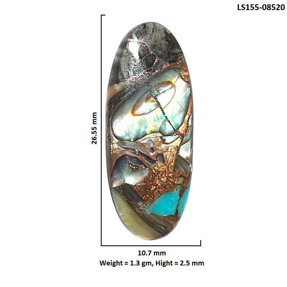 Shell In Black Blue Turquoise 10.7x26.55x2.5 mm Fancy Shape Polished Gemstone LS155-08520