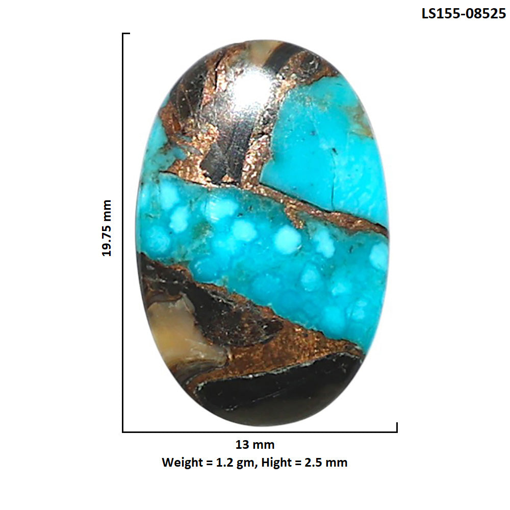 Shell In Black Blue Turquoise 13x19.75x2.5 mm Oval Shape Polished Gemstone LS155-08525