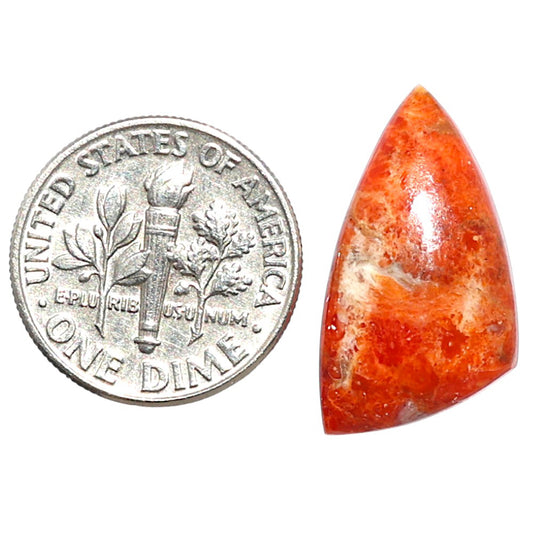 Red Sponge Coral 12.3x22.3x4.4 mm Fancy Shape Polished Gemstone LS156-09115