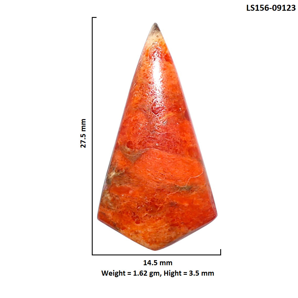 Red Sponge Coral 14.5x27.5x3.5 mm Fancy Shape Polished Gemstone LS156-09123