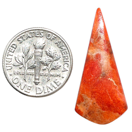 Red Sponge Coral 13.5x29.75x3 mm Fancy Shape Polished Gemstone LS156-09126