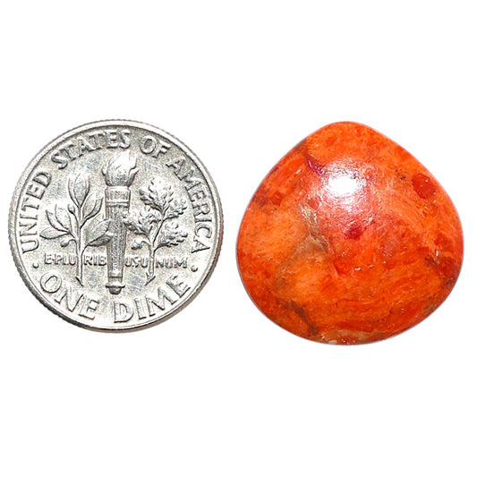 Red Sponge Coral 18.8x19x4 mm Heart Shape Polished Gemstone LS156-09127