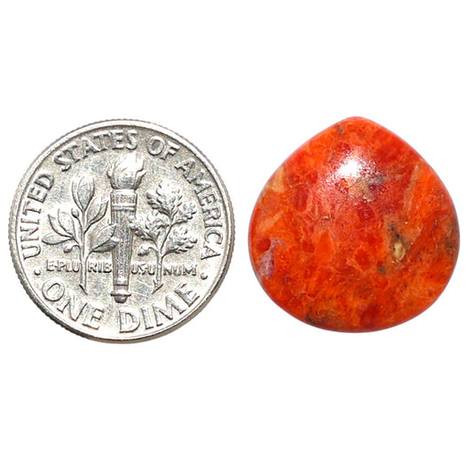 Red Sponge Coral 16.8x17.2x3 mm Heart Shape Polished Gemstone LS156-09128