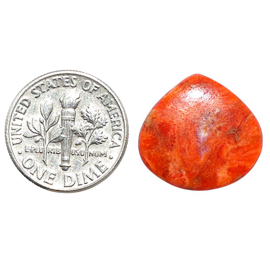 Red Sponge Coral 17x18x2.2 mm Heart Shape Polished Gemstone LS156-09129