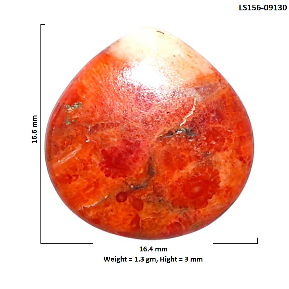 Red Sponge Coral 16.4x16.6x3 mm Heart Shape Polished Gemstone LS156-09130