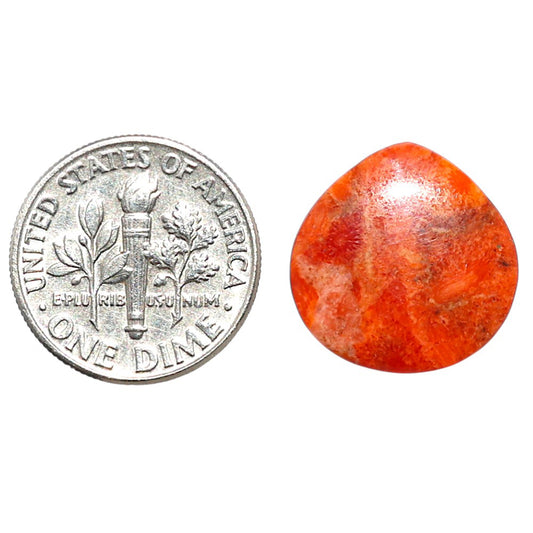 Red Sponge Coral 16x16x2.5 mm Heart Shape Polished Gemstone LS156-09131