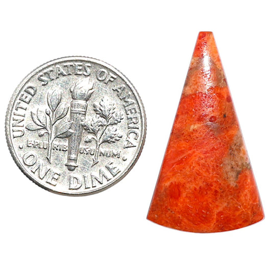 Red Sponge Coral 15x25.55x3.6 mm Fancy Shape Polished Gemstone LS156-09132