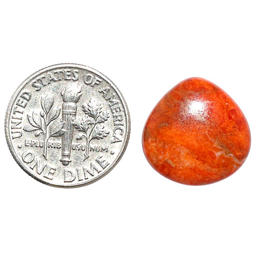 Red Sponge Coral 15.5x15.5x3.5 mm Heart Shape Polished Gemstone LS156-09133