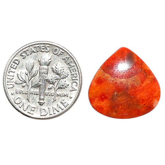 Red Sponge Coral 16.5x16.5x2.8 mm Heart Shape Polished Gemstone LS156-09134