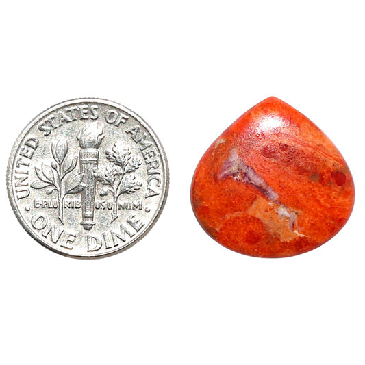 Red Sponge Coral 17.9x18.2x2.7 mm Heart Shape Polished Gemstone LS156-09136