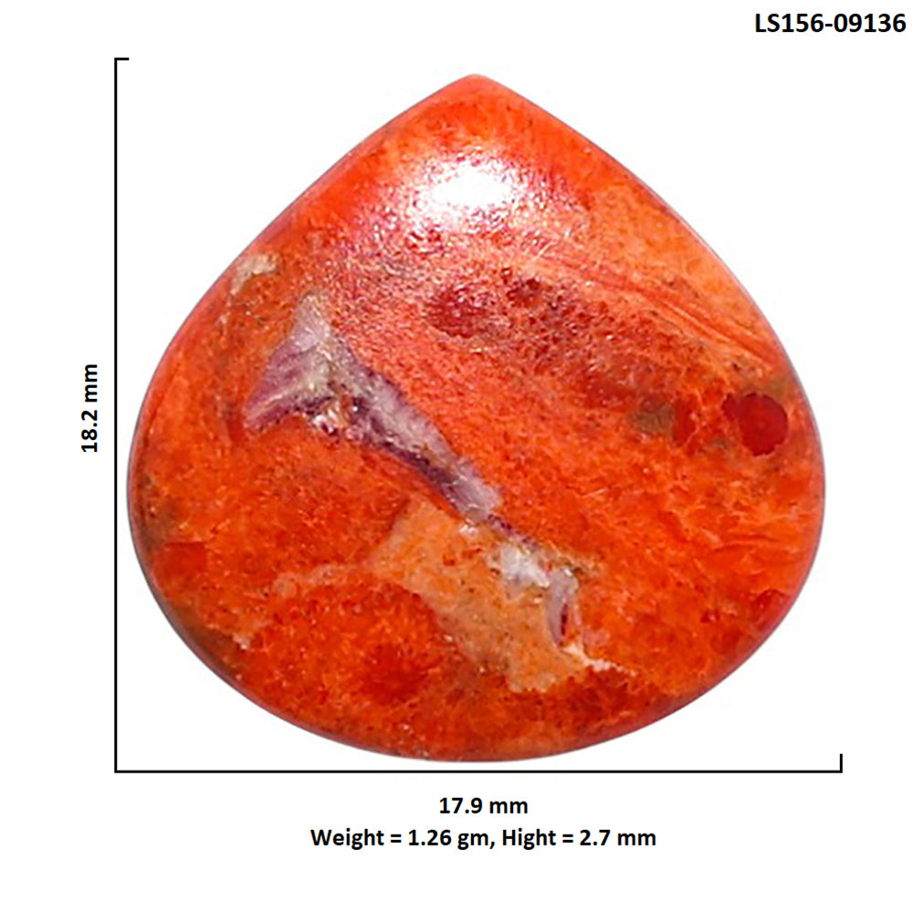 Red Sponge Coral 17.9x18.2x2.7 mm Heart Shape Polished Gemstone LS156-09136