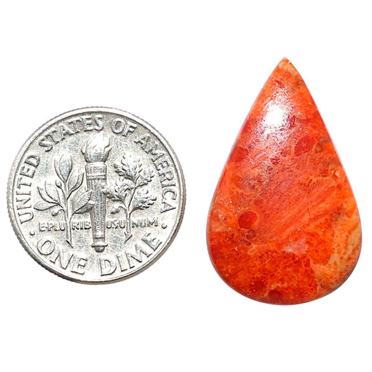 Red Sponge Coral 15.6x24.9x3.5 mm Pear Shape Polished Gemstone LS156-09138