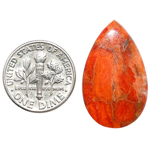 Red Sponge Coral 16.2x26.65x2.8 mm Pear Shape Polished Gemstone LS156-09140