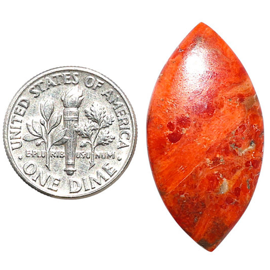 Red Sponge Coral 15.8x30.75x3 mm Marquise Shape Polished Gemstone LS156-09141