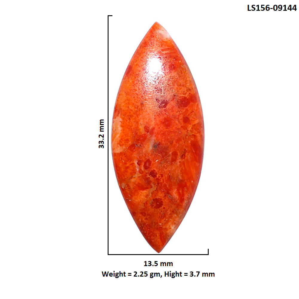 Red Sponge Coral 13.5x33.2x3.7 mm Marquise Shape Polished Gemstone LS156-09144