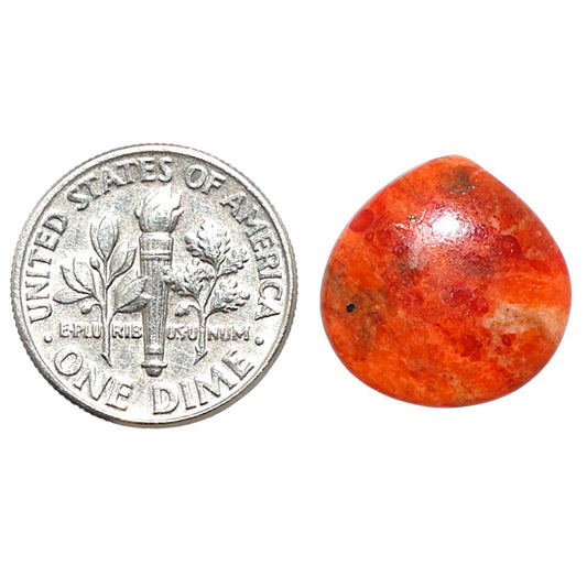 Red Sponge Coral 15.8x16x2.8 mm Heart Shape Polished Gemstone LS156-09145
