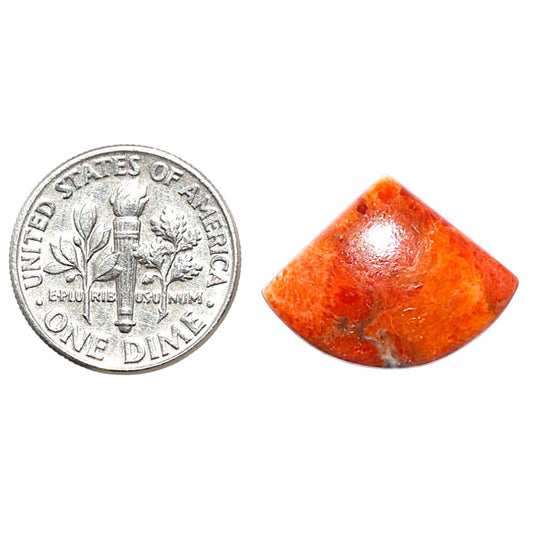 Red Sponge Coral 15.2x20x3.6 mm Fancy Shape Polished Gemstone LS156-09146