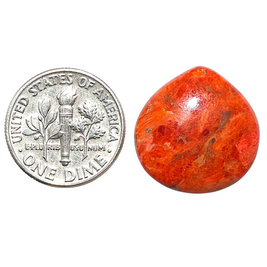 Red Sponge Coral 18.8x19x4 mm Heart Shape Polished Gemstone LS156-09148