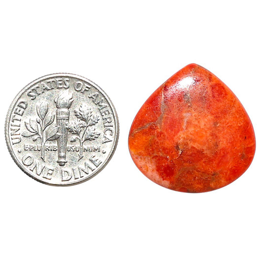 Red Sponge Coral 20x20.5x2.2 mm Heart Shape Polished Gemstone LS156-09149
