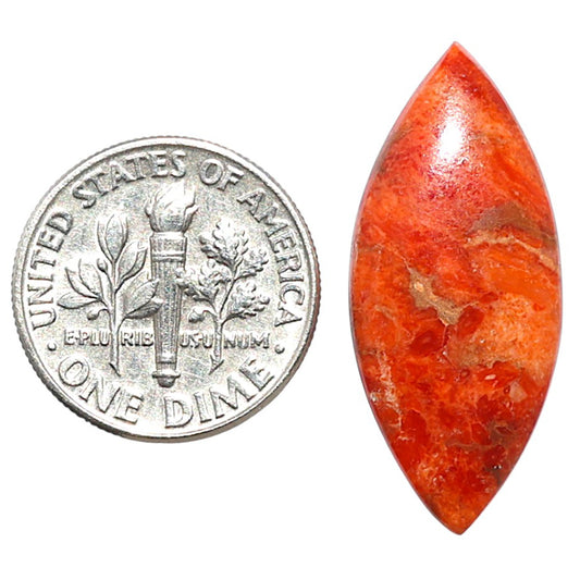 Red Sponge Coral 12.4x28.75x4 mm Marquise Shape Polished Gemstone LS156-09153