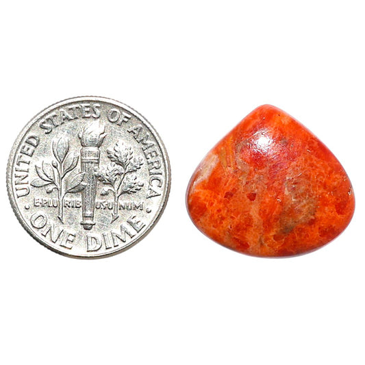 Red Sponge Coral 17x18.5x3.5 mm Heart Shape Polished Gemstone LS156-09155