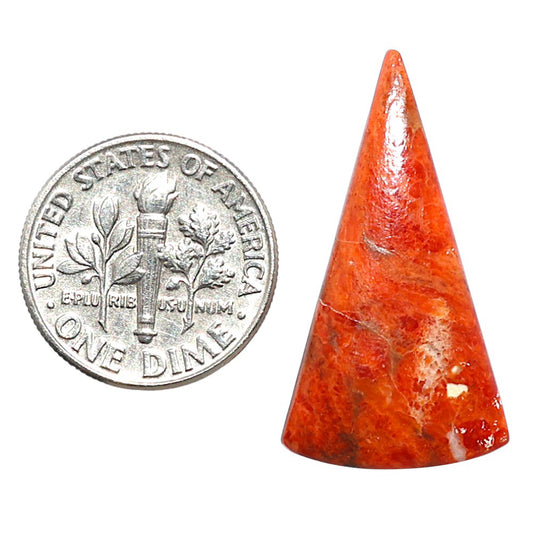 Red Sponge Coral 15.8x29x3.5 mm Fancy Shape Polished Gemstone LS156-09156