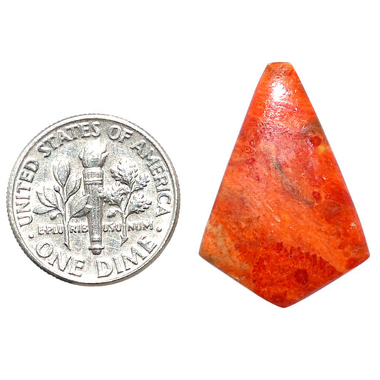 Red Sponge Coral 17.7x25.45x3.3 mm Fancy Shape Polished Gemstone LS156-09157