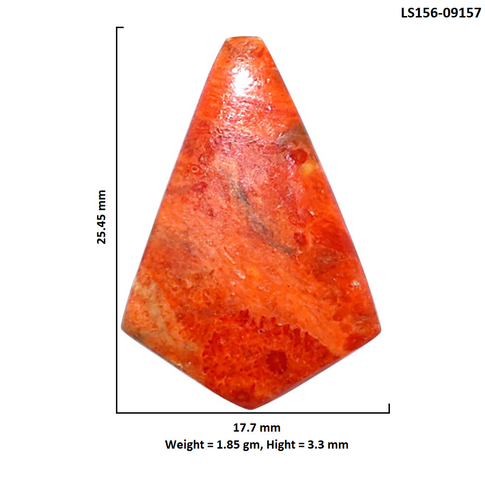 Red Sponge Coral 17.7x25.45x3.3 mm Fancy Shape Polished Gemstone LS156-09157