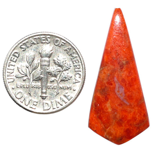 Red Sponge Coral 13.4x29.85x3 mm Fancy Shape Polished Gemstone LS156-09159
