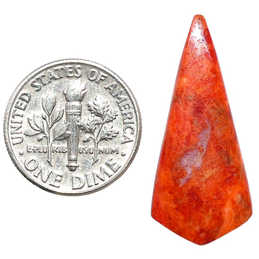 Red Sponge Coral 13.3x29.9x3 mm Fancy Shape Polished Gemstone LS156-09163