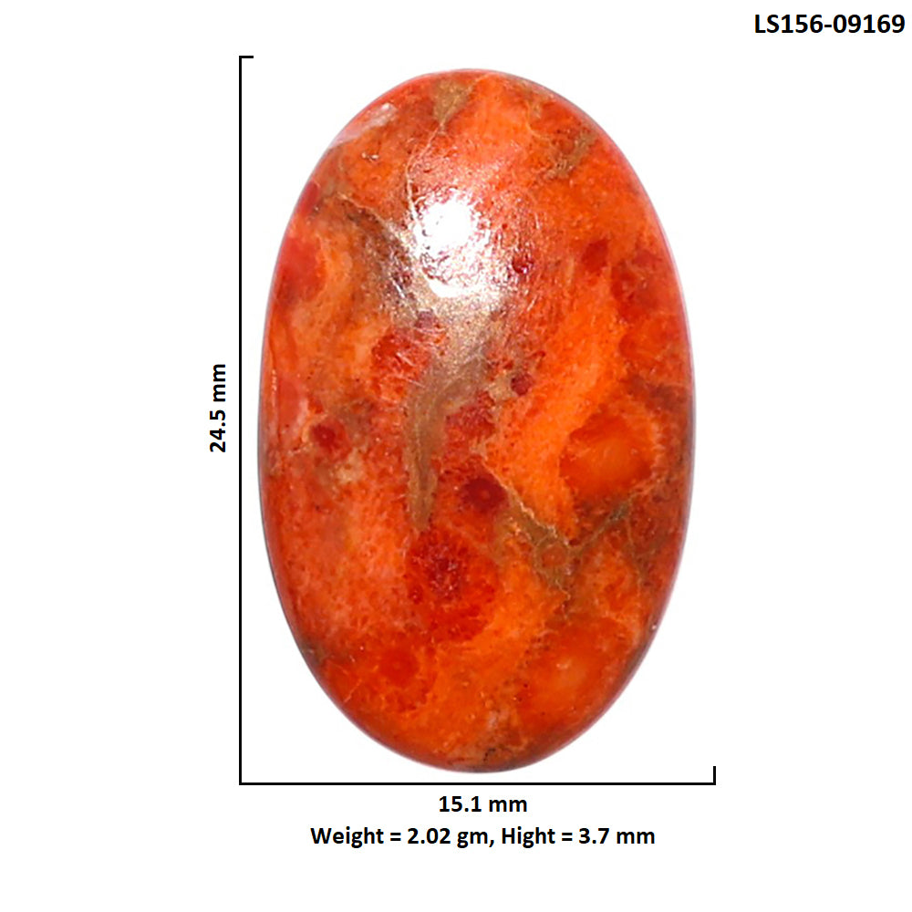 Red Sponge Coral 15.1x24.5x3.7 mm Oval Shape Polished Gemstone LS156-09169