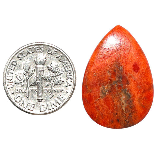 Red Sponge Coral 17.7x25.45x2.5 mm Pear Shape Polished Gemstone LS156-09172