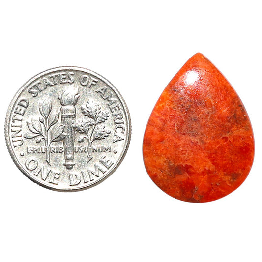 Red Sponge Coral 16x21.4x2.5 mm Pear Shape Polished Gemstone LS156-09173