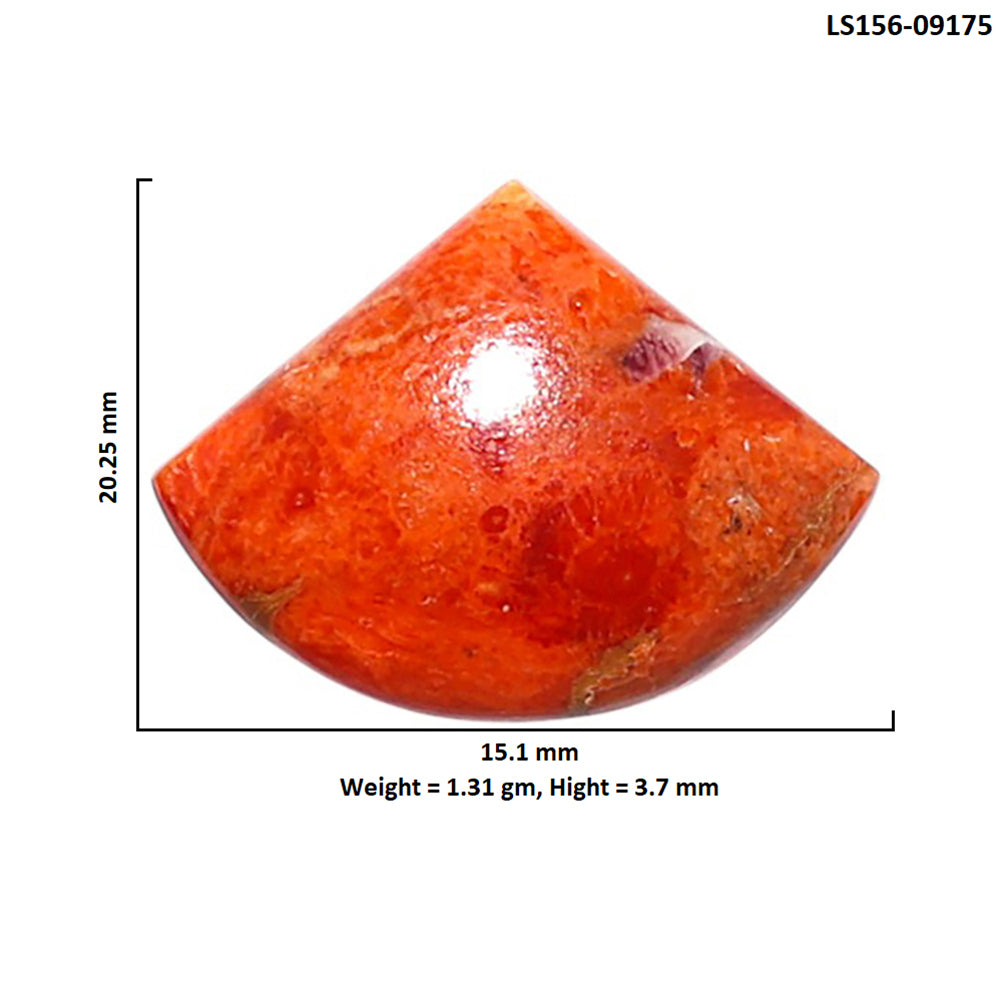 Red Sponge Coral 15.1x20.25x3.7 mm Fancy Shape Polished Gemstone LS156-09175