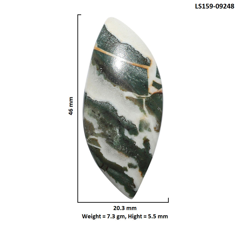 Natural Larsonite Jasper 20.3x46x5.5 mm Fancy Shape Polished Gemstone LS159-09248