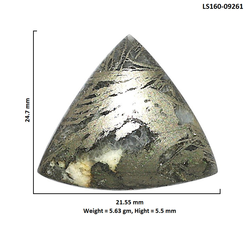 Natural Feder Pyrite 21.55x24.7x5.5 mm Fancy Shape Polished Gemstone LS160-09261