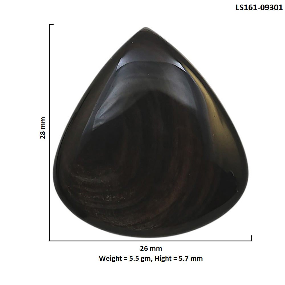 Natural Hypersthene 26x28x5.7 mm Heart Shape Polished Gemstone LS161-09301