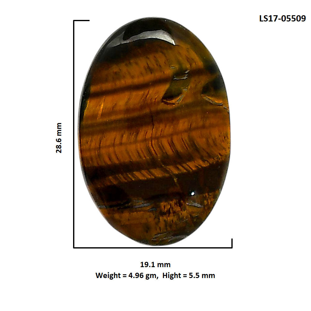 Blue Tiger Eye 19.1x28.6x5.5 mm Oval Shape Polished Gemstone LS17-05509