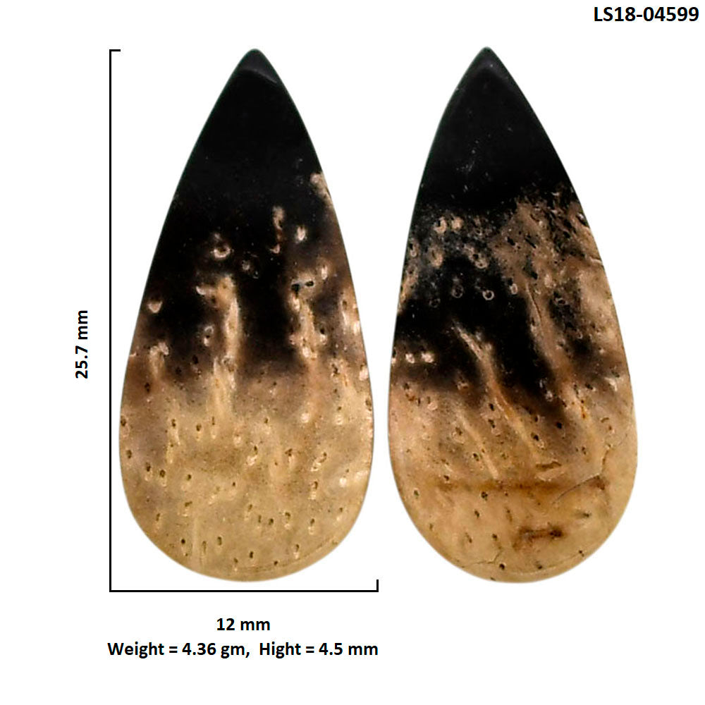 Root Plume Agate Pair 12x25.7x4.5 mm Pear Shape Polished Gemstone LS18-04599