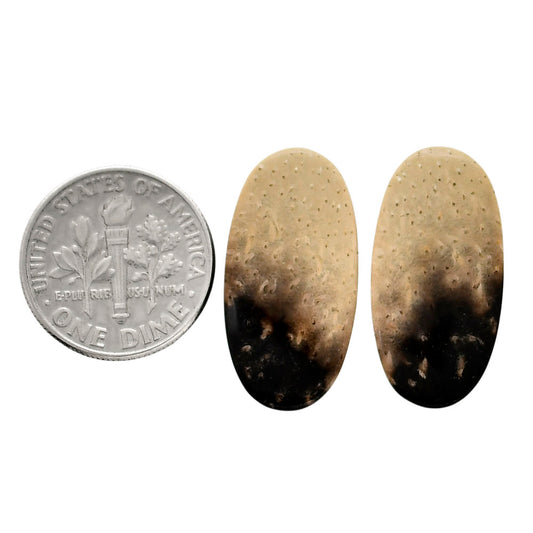 Root Plume Agate Pair 12.2x24x4.5 mm Oval Shape Polished Gemstone LS18-04604
