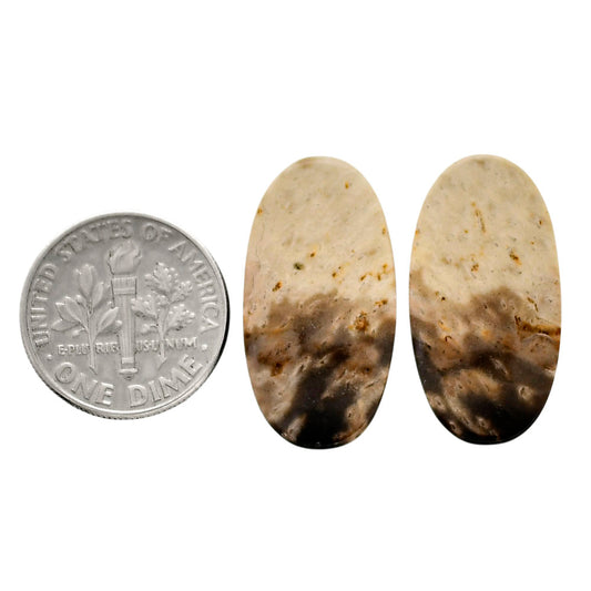 Root Plume Agate Pair 13x24.8x4.5 mm Oval Shape Polished Gemstone LS18-04605