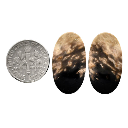 Root Plume Agate Pair 14x25.35x4.5 mm Oval Shape Polished Gemstone LS18-04606