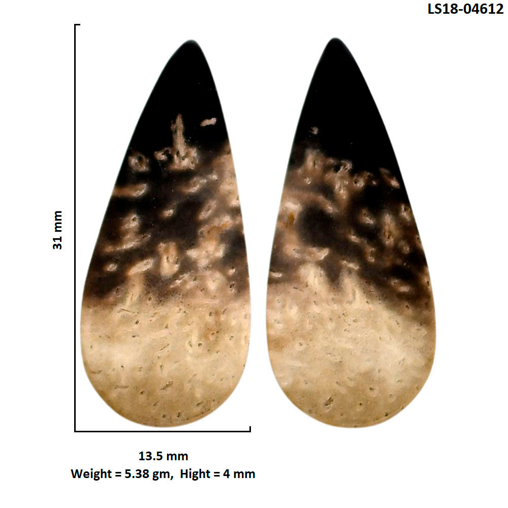 Root Plume Agate Pair 13.5x31x4 mm Pear Shape Polished Gemstone LS18-04612