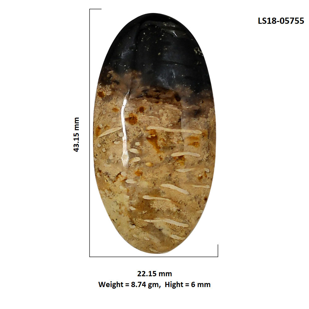 Root Plume Agate 22.15x43.15x6 mm Oval Shape Polished Gemstone LS18-05755
