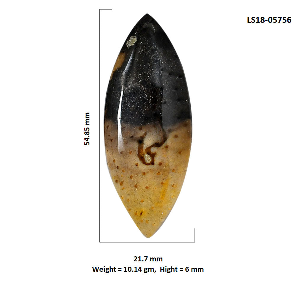 Root Plume Agate 21.7x54.85x6 mm Marquise Shape Polished Gemstone LS18-05756