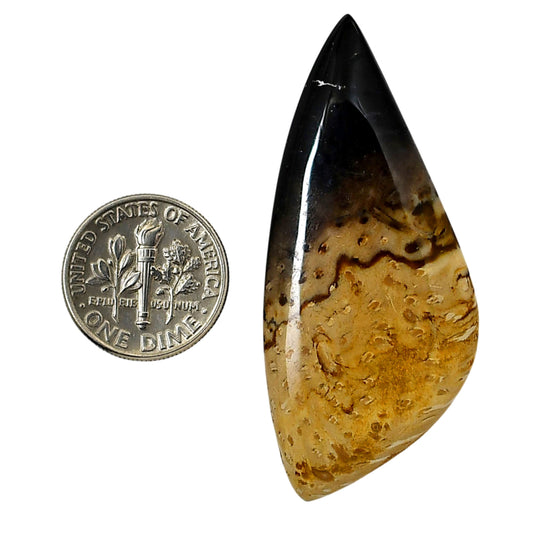 Root Plume Agate 22.85x51.9x5 mm Fancy Shape Polished Gemstone LS18-05759