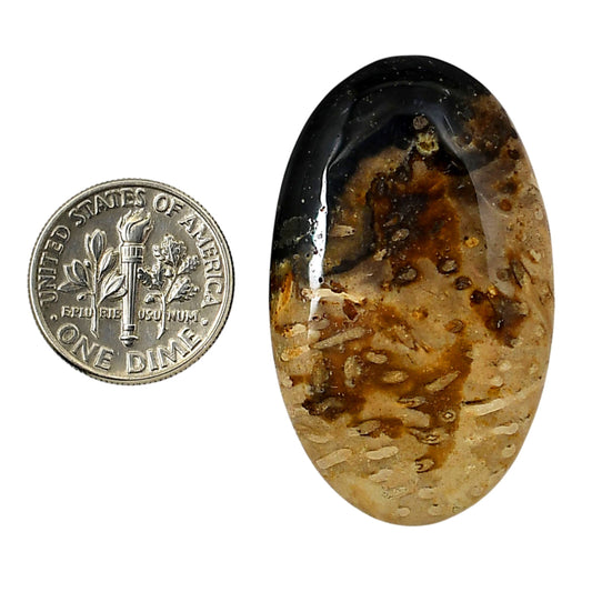 Root Plume Agate 24.6x40.5x5 mm Oval Shape Polished Gemstone LS18-05761